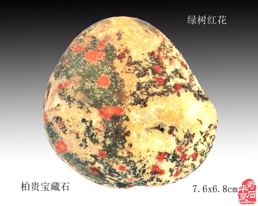 美石尽显一幅天然春日花鸟画卷