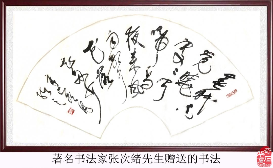 美石尽显一幅天然春日花鸟画卷