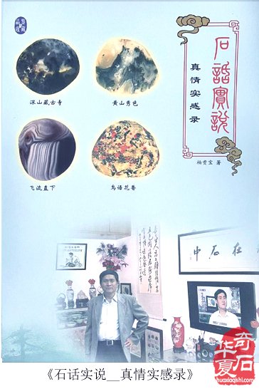 美石尽显一幅天然春日花鸟画卷