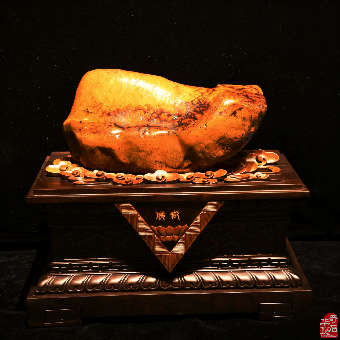 奇石《佛脚》赏析 图