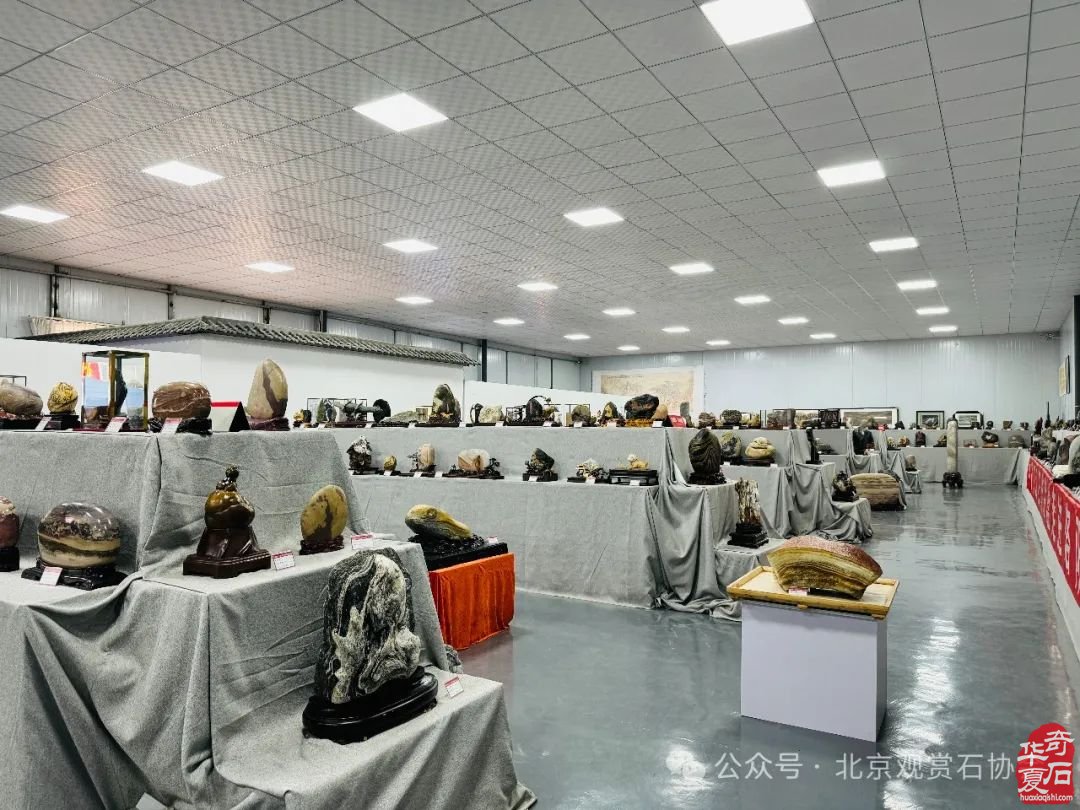 规范建设促发展 文旅采风启新程——洛阳市赏石协会召开会长办公会议