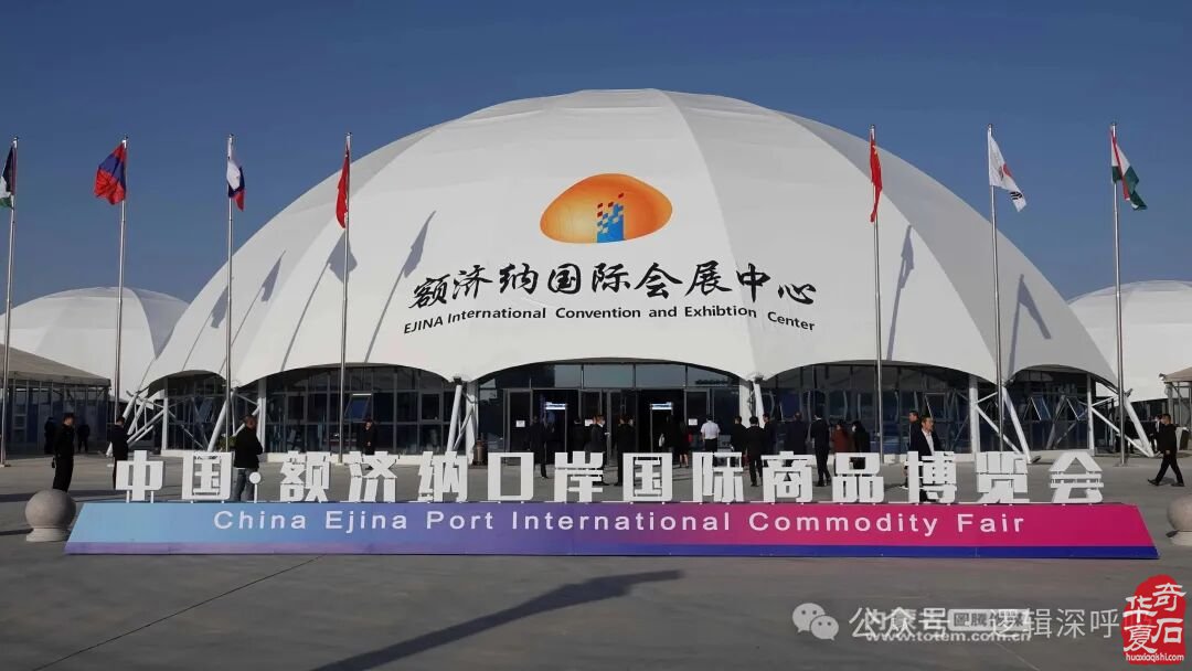 阿拉善拥有国家级非遗赏石艺术与肉苁蓉特色本草