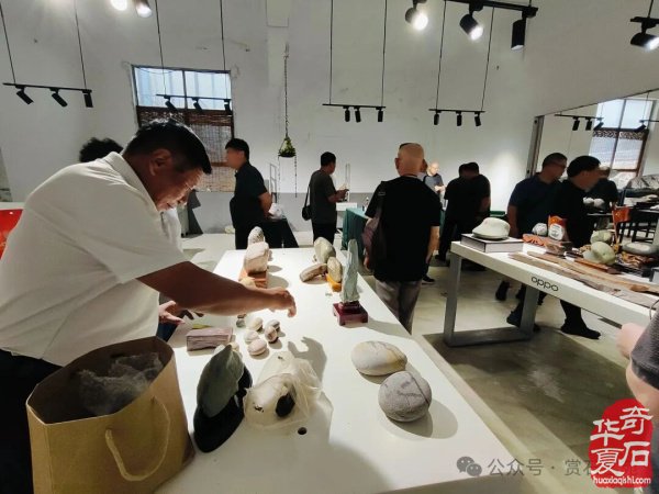 鹤壁石协开展活动喜迎全国“8·30赏石日”