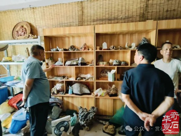 鹤壁石协开展活动喜迎全国“8·30赏石日”