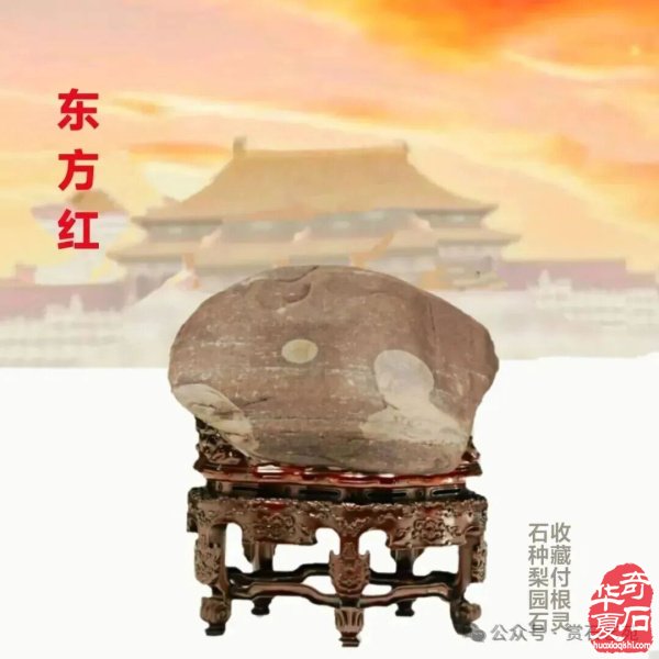 鹤壁石协开展活动喜迎全国“8·30赏石日”