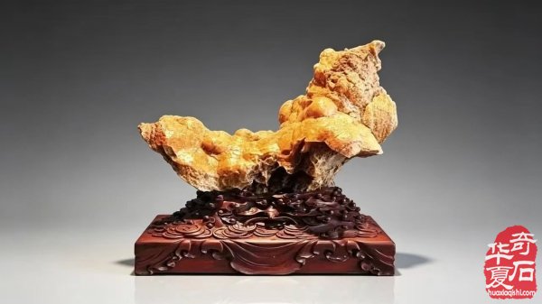 国际审美视域下当代赏石审美体系建构研究 纪念中国观赏石协会第十五个赏石日