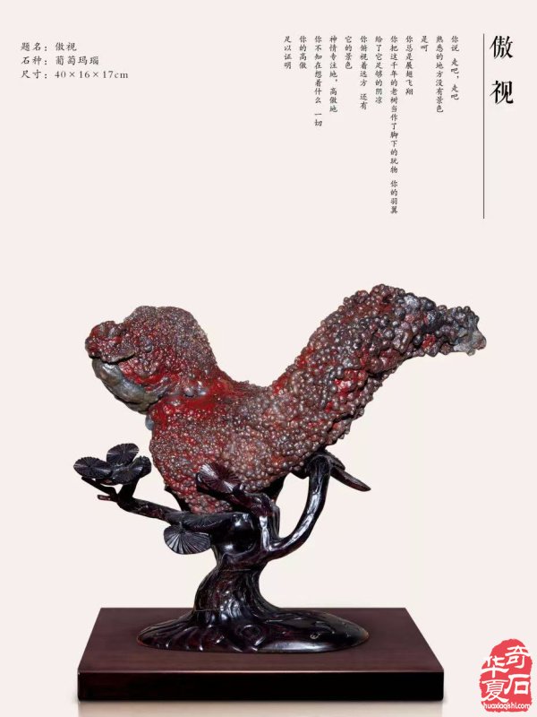 国际审美视域下当代赏石审美体系建构研究 纪念中国观赏石协会第十五个赏石日