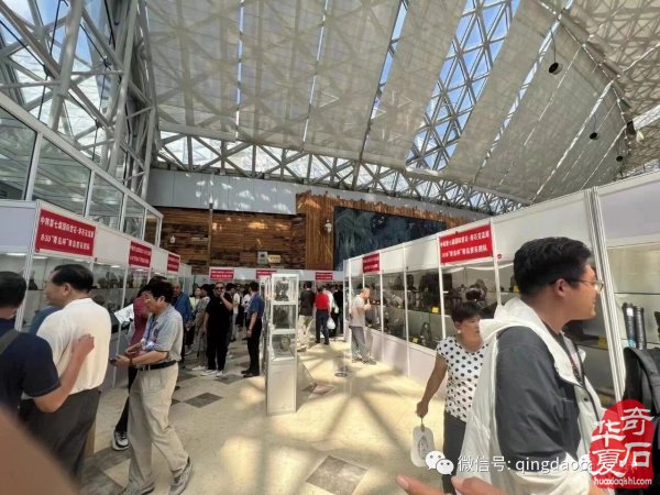 8.30“中韩第七届国际赏石·寿石文化交流展暨青岛第十七届赏石博览会”精彩回放!