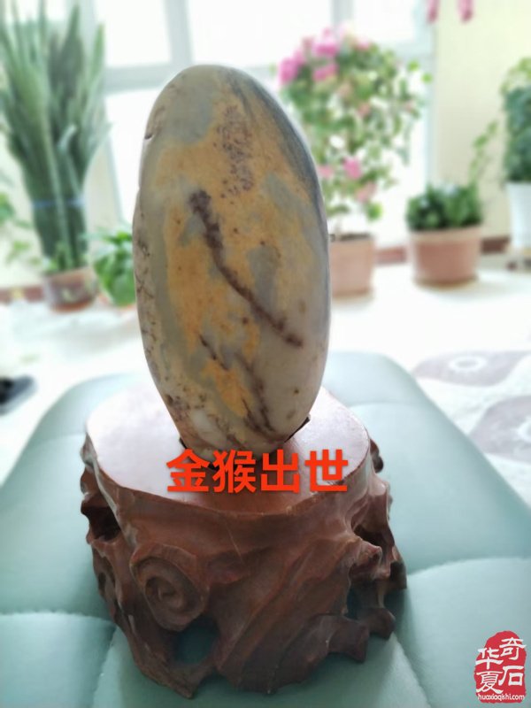 新疆藏家窦万谋和田玉藏品欣赏