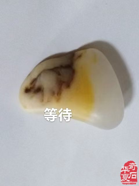 新疆藏家窦万谋和田玉藏品欣赏