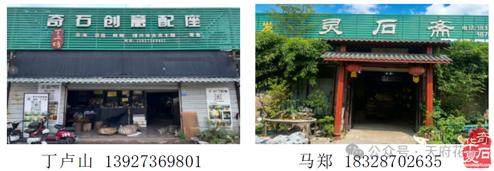 相聚2026金秋石博会成都天府花城