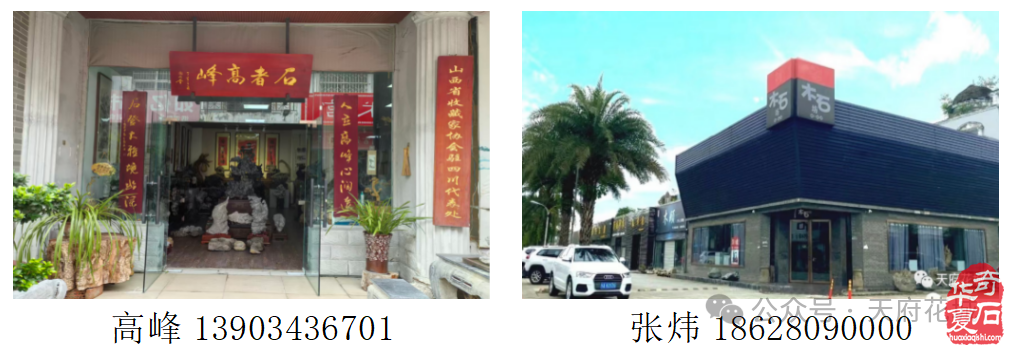 相聚2026金秋石博会成都天府花城