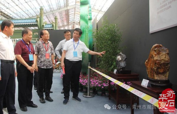 “古州石韵·而立菁华”——青州市观赏石协会成立三十周年观赏石精品邀请展开幕