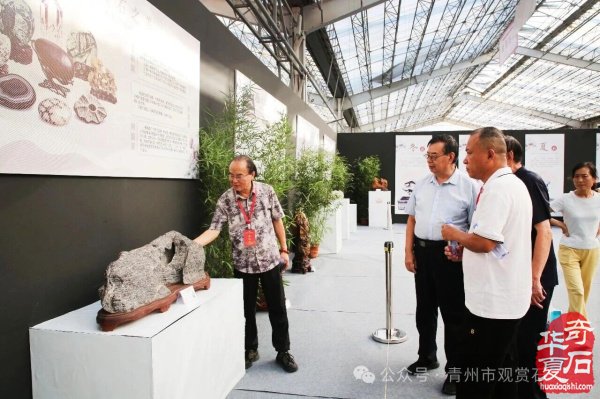 “古州石韵·而立菁华”——青州市观赏石协会成立三十周年观赏石精品邀请展开幕