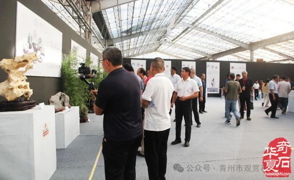 “古州石韵·而立菁华”——青州市观赏石协会成立三十周年观赏石精品邀请展开幕