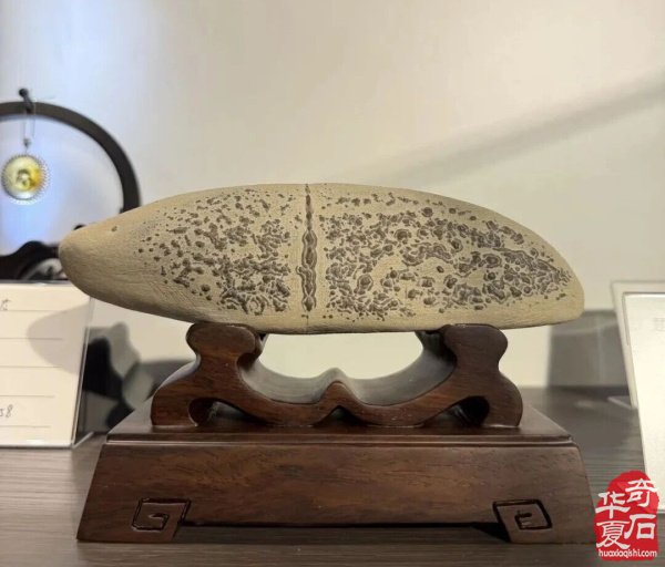 欣赏广元昭化首届奇石文化展获奖作品