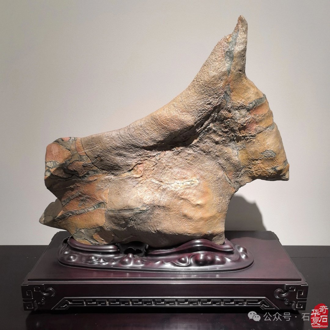 第二届“正清和”赏石艺术展暨“正清和”赏石艺术网产品数字化启动仪式、“正清和”观赏石电商直播基地开播仪式