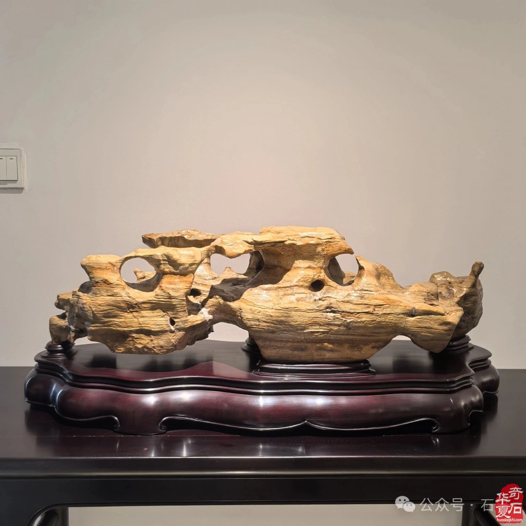 第二届“正清和”赏石艺术展暨“正清和”赏石艺术网产品数字化启动仪式、“正清和”观赏石电商直播基地开播仪式