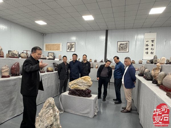 洛阳市赏石协会重阳开展赏石文化万里行系列活动