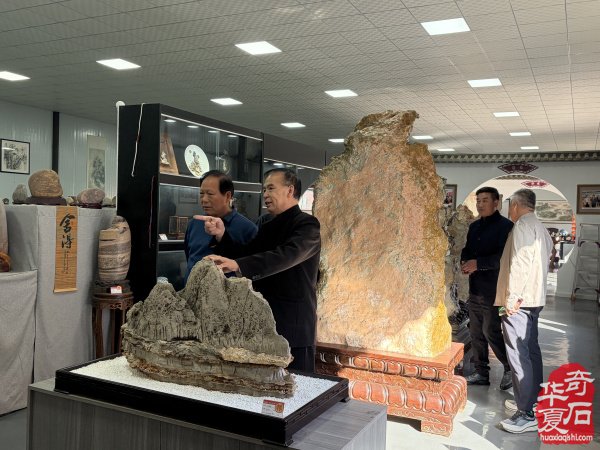 洛阳市赏石协会重阳开展赏石文化万里行系列活动