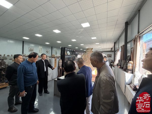 洛阳市赏石协会重阳开展赏石文化万里行系列活动