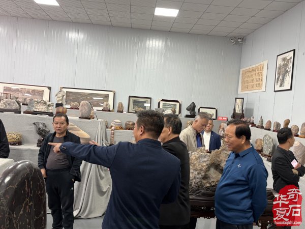 洛阳市赏石协会重阳开展赏石文化万里行系列活动