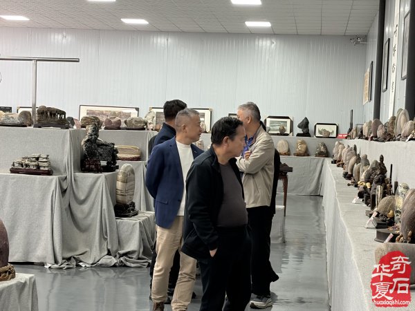 洛阳市赏石协会重阳开展赏石文化万里行系列活动