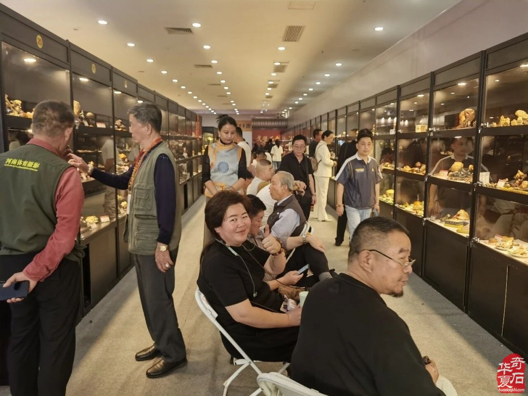 赏石名展 如约而至|湾区·陈村无界艺术周
