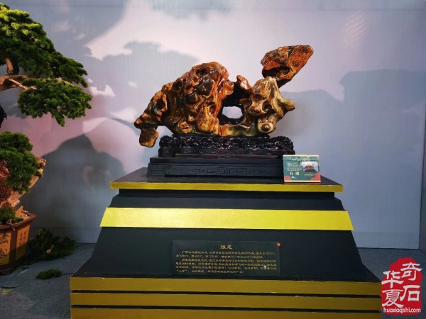 赏石名展 如约而至|湾区·陈村无界艺术周