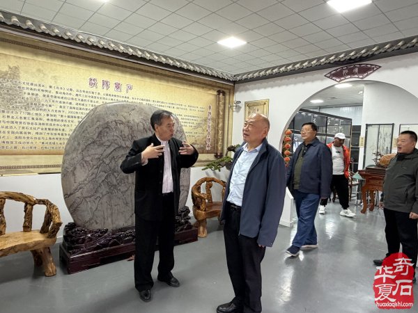 外地赏石名家到访洛阳奇石馆 共探南北赏石文化交融