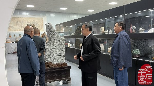 外地赏石名家到访洛阳奇石馆 共探南北赏石文化交融