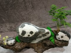 中国（重庆）万石博览会·中国赏石艺术精品赏