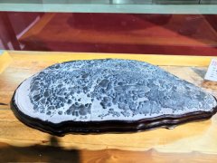 徐州老石友藏品联展上精品珍珠灵璧石