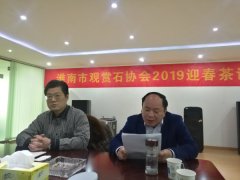 淮南市观赏石协会召开2019迎春茶话会 图