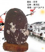 石界都在关心到底什么样的石头好卖呢?