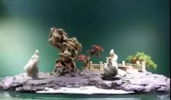 石界有良心的一篇好文：天价奇石迷局（石友必看）