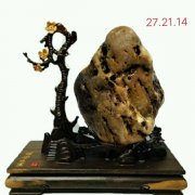 洛阳石界玩家王文珺先生藏品欣赏 图