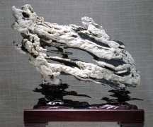 奇石行情不景气行家却说赏石界的好日子才刚刚开始