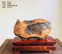戈壁石在洛阳也火了 南关公园淘石记