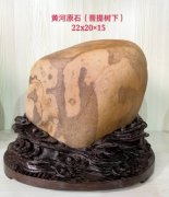 每日一石:黄河石《 菩提树下 》雅赏 图