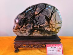 辽宁宽甸玉树石何以风靡当今石界 图