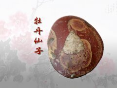  剪红云，抹朝晖 那牡丹花开的灵石
