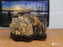 海峡两岸（常山）展开幕，有哪些热点值得关注？