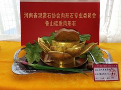 河南省肉形石文化研究院简介