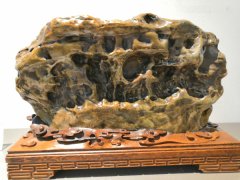 漳州石展盛大开幕 九龙壁惊艳世人 （图）