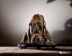 赏石的“形质色纹”与“瘦皱漏透” 组图