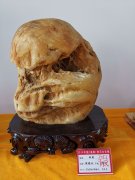 凭“痛并快乐着”的亲身经历与石友们探讨“跑展经”