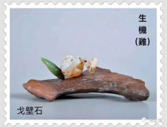 梅玺堂/全国奇石免费展示（第63期摘编）