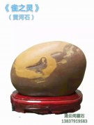 欣赏洛阳黄河石协会掌门雷洛育收藏的黄河石