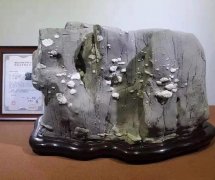 从观象夏拍谈观赏石拍卖之路 图
